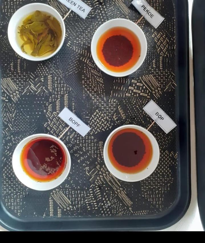 Golden Villa Kandy - "Free Pickup From Kandy " מראה חיצוני תמונה